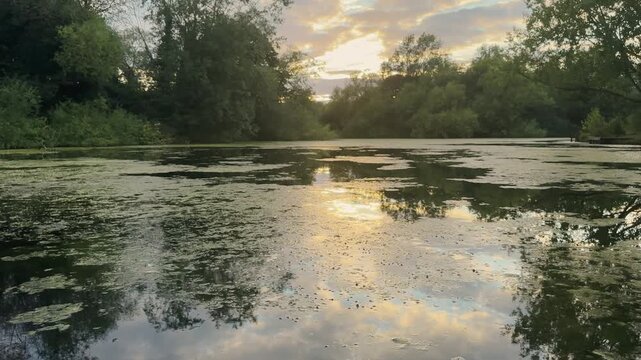 Scenic sunset at Lodge Lake in Milton Keynes UK with tree reflections on calm water