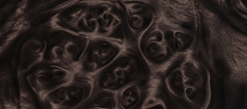 Dark charcoal walnut burl wood texture with dramatic volumetric swirling eyes and rich espresso tones, ideal for luxury 3D automotive interior mapping, executive product stage mockups, and dark mode