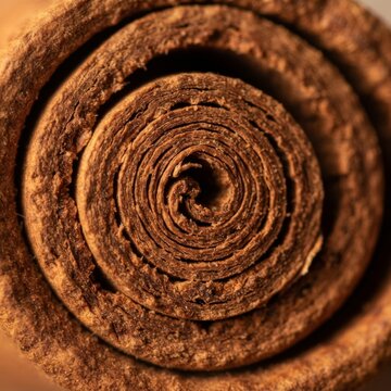 Macro view of a textured cinnamon stick showing detailed bark layers with macro photography
