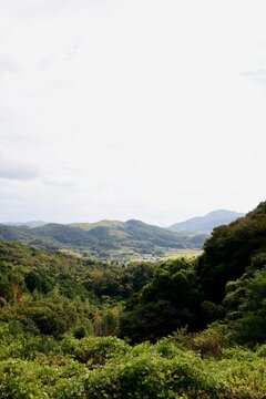 日本の田舎風景。緑の山間に点在する家々と薄曇りの空