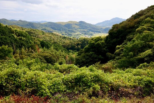 日本の田舎風景。緑の山間に点在する家々と薄曇りの空