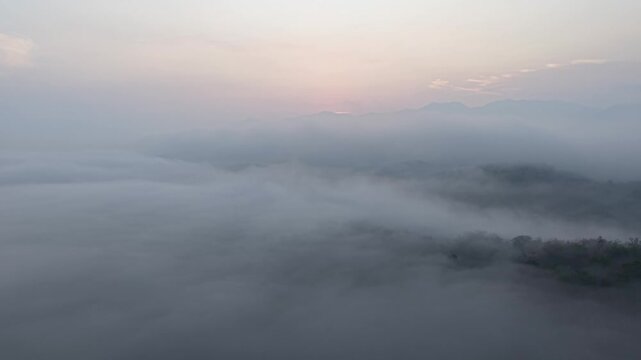 Soft pink sunrise paints the sky above rolling clouds. Fog drifts over hills, revealing tree tops at Lenggong, Perak