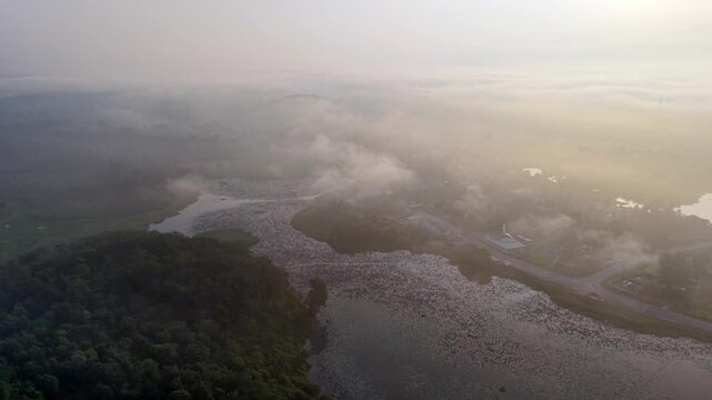 Aerial view captures misty river winding through forests. Soft light bathes the water at Tasik Raban