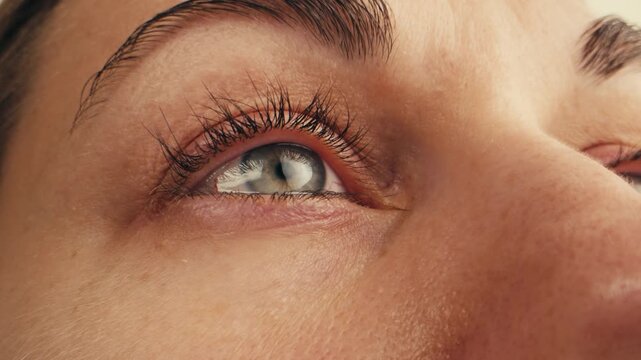 Human eye, Man or woman eye macro, Detailed closeup macro a human blue eye showcases its intricate characteristics. Ophthalmology clinic, vision.