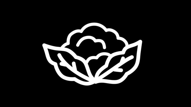 Fresh cauliflower vegetable icon. Ideal for healthy food, vegetarian diet, agriculture, organic grocery, and cooking concepts.