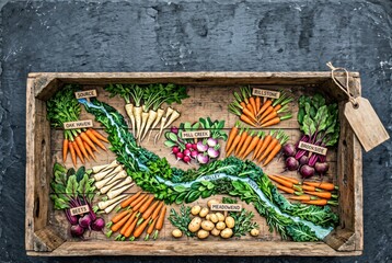 Fototapeta premium Rustic Vegetable Map of Root Crops in Wooden Tray