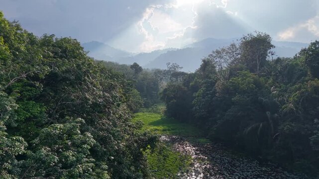 Aerial shot reveals a sunlit river winding through emerald rainforest at Tasik Raban