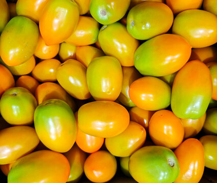 Plum-shaped yellow tomatoes which are in the ripening stage and have characteristic green tints near the stalk