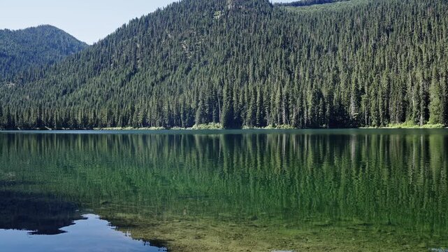 Lake with green landscape. Landscape of idyllic forest at lake, slow motion. Nature landscape. Lake in scenic nature. Scenic nature hiking lake. Traveling and hiking. Wilderness and adventure forest