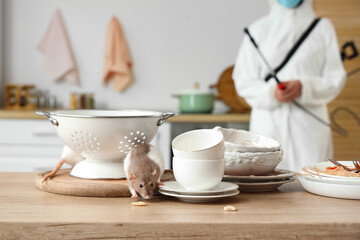 Pest control and home hygiene, rat infestation in kitchen with professional exterminator in...