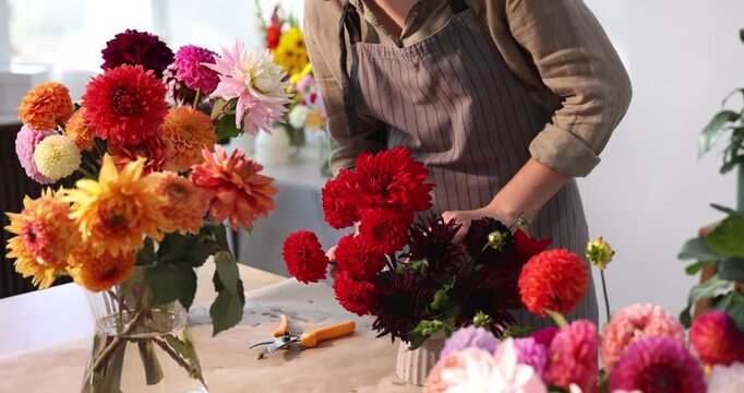 Florist making floral composition with dahlia flowers at table in shop, closeup