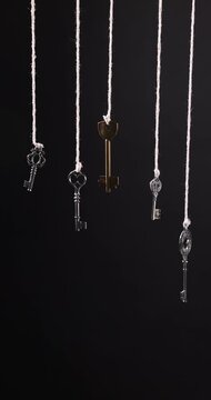 Choice concept. Different keys hanging against black background