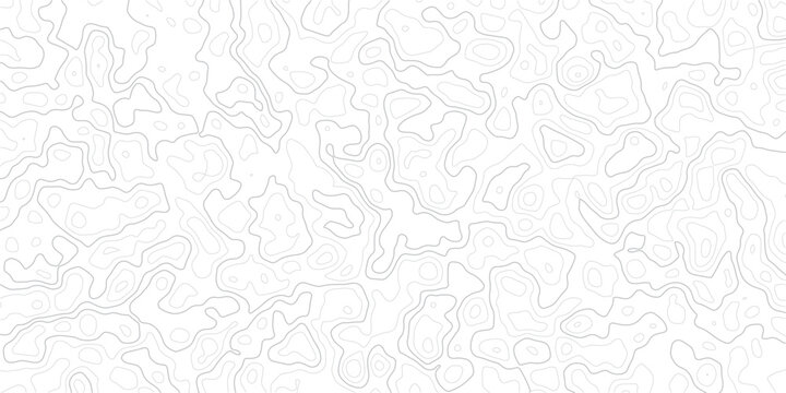 Abstract organic line contour map topography style, minimalist white background with grey vector lines, natural landscape planar decorative graphic element