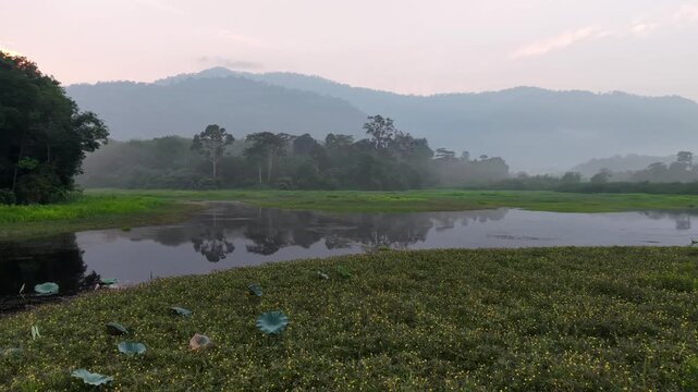 Calm lake surrounded by green grass and wetland plants with misty hills in the background under an early morning sky at Tasik Raban