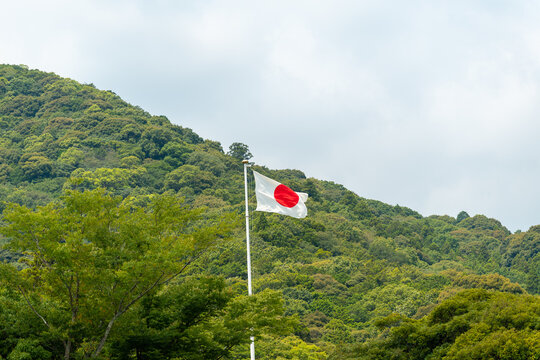 風になびく国旗