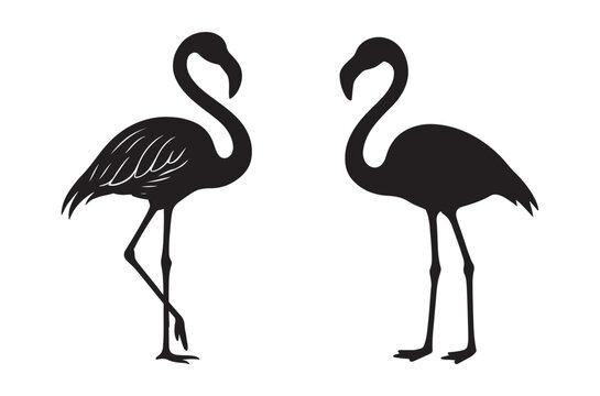 two flamingo silhouettes on white background high quality