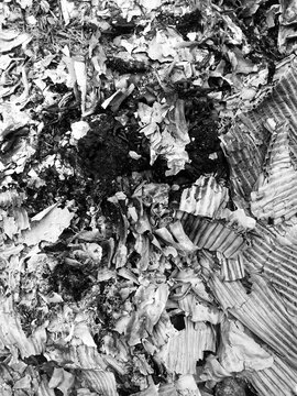 Portrait image of burnt paper remnants ideal for backgrounds, textures, and overlays in design projects needing an aged or distressed look. Great for advertising.