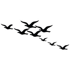 Fototapeta premium Flock of birds flying silhouette illustration, freedom and migration concept, elegant vector art.