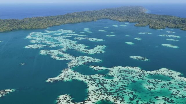 Calcareous algae and white sand forms abstract patterns in Kakaban Lake amid the Derawan Islands, Indonesia. This marine lake, surrounded by limestone, harbors four species of harmless jellyfish.