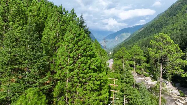 Cinematic aerial reveal shot over the rushing Parvati River flanked by steep green pine mountains between Bhuntar and Kasol in Himachal Pradesh.