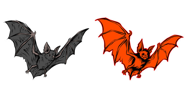 Flying Black and Orange Halloween Bats Set PNG Clip Art Isolated on Transparent Background