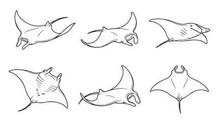 Fototapeta premium Manta Ray Vector Line Art Set, Swimming Stingray Marine Life Illustrations 