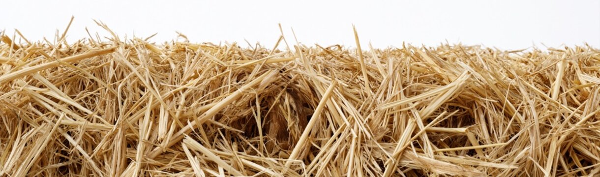 Straw and stubble texture in a dry wheat field after the summer harvest agriculture