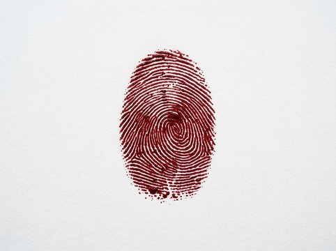 Crimson Fingerprint Impression On White Textured Paper Background