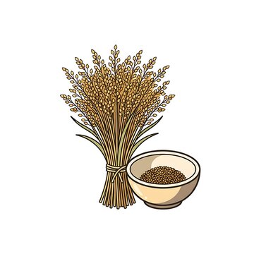 Hand drawn illustration of teff stalks and a bowl of teff grains