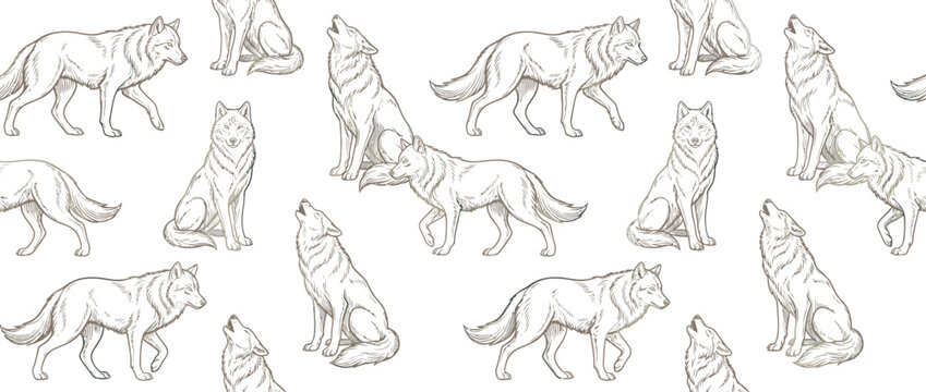 Wolf Sketch Pattern - Wild Animal Illustration Seamless Background