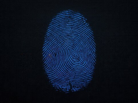 Abstract Blue Fingerprint Detail On Dark Background Identity Concept