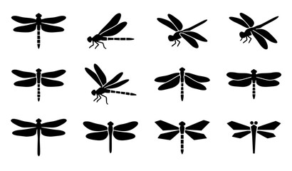 Fototapeta premium Minimal Dragonfly Silhouette Icons Set with 12 Perched Insect Vector Symbols