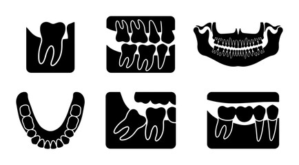 Dental Anatomy Icons, Tooth X-ray Illustrations, Oral Health Diagrams, Set of 6 Vector Graphics for Dentistry © Arif