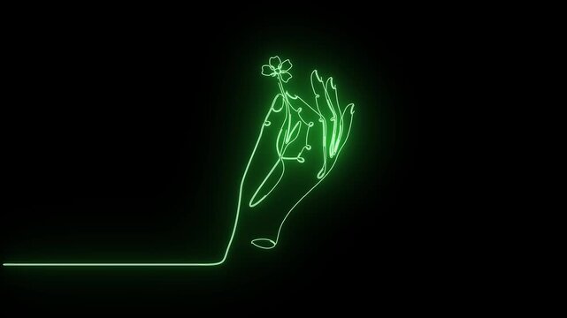 minimal line art hand holding small flower vector animation floral nature growth concept design
