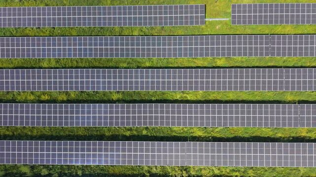 Overhead drone shot moving sideways above the long rows of photovoltaic solar panels and green grass strips of a solar power farm on a sunny afternoon.