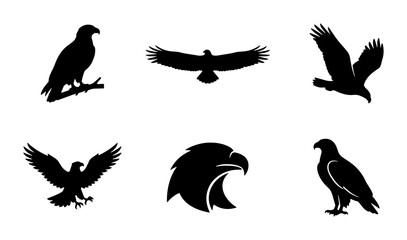 Obraz premium Eagle Silhouettes Vector Set: Majestic Bird Icons for Wildlife and Freedom Themes, Graphic Elements