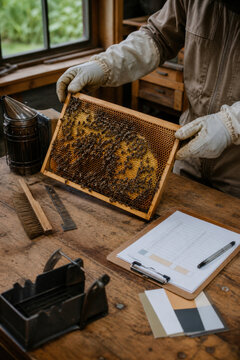 Beekeeping Frame Health Inspection for Hive Monitoring, Colony Management and Sustainable Apiculture