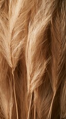 Fototapeta premium Multiple dried Wild Grass seed heads (Stipa), fine feathery texture, golden straw colors, arranged vertically, subtle paper texture.