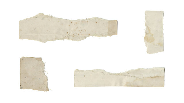 Set of four torn paper strips with rough edges and vintage texture isolated on white background