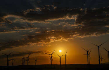 Obraz premium View of a wind farm along a highway in Kazakhstan.