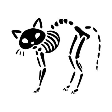 spooky black cat skeleton arched back vector illustration