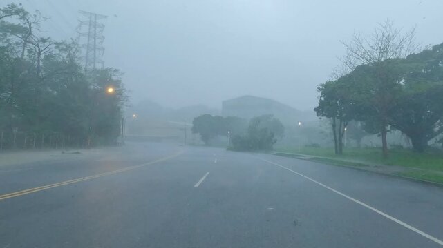 Hurricane Wind Drives Heavy Rain Across Urban Road During Landfall