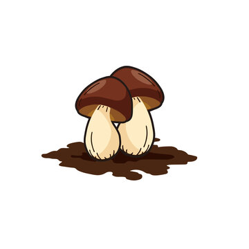 vector illustration of mushrooms