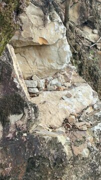 Rock texture in the Colombian Amazon mountain range.