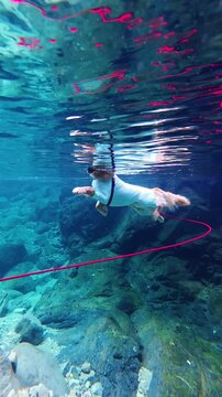 Dog wearing a suit swimming underwater in clear river water