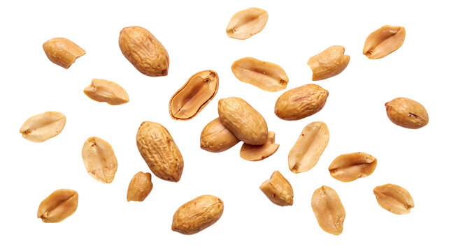 Scattered roasted peanuts with and without isolated on png transparent background