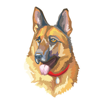 German Shepherd Watercolor Portrait Illustration Isolated on Light Background