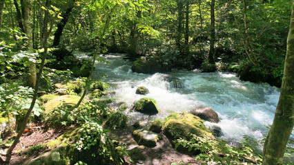 Fototapeta premium Oirase Gorge Stream flows from Lake Towada on the border of Aomori and Akita in Aomori Japan