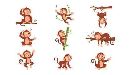 Cute cartoon monkey character vector set showing different actions poses climbing swinging sleeping and thinking isolated illustration © SAYED