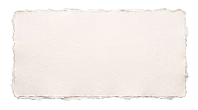 Blank textured paper rectangle with torn edges on png on isolated transparent background